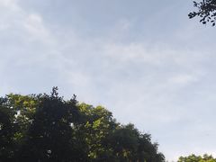 -龙泉洞(沙坪坝区)