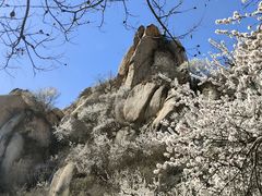 -北京凤凰岭