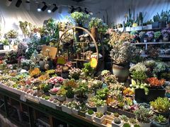 -朝来春花卉市场