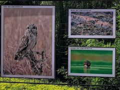 -野鸭湖国家湿地公园