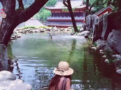 -塔云山