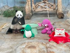 -海南热带野生动植物园