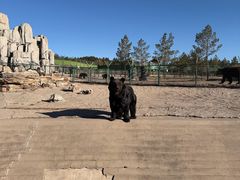 -鄂尔多斯野生动物园