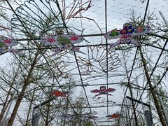 -南宫五洲植物乐园