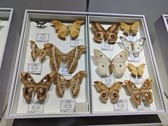 -烟台市博物馆