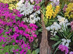 -北京植物园-展览温室