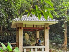 -火炉山森林公园