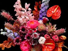 -BEAST野兽派(上海浦东嘉里城店)