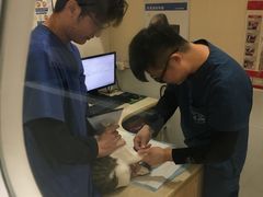 -芭比堂动物医院(广州爱宠下渡路分院)