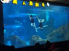 -锦艺城海洋馆