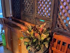 -慢丽江·云南野生菌土鸡锅(付家庄店)