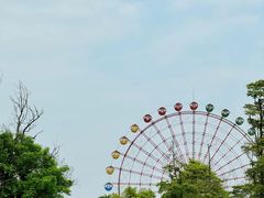 -成都南湖公园