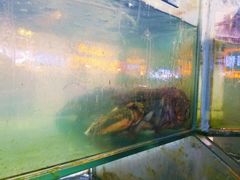 -四海鲜渔家菜(黄金海岸店)