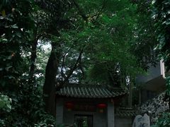 -鼎湖山风景区