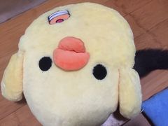 -雨林宠物医院 非犬猫异宠专科