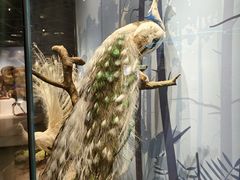 -陕西自然博物馆