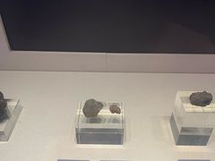 -吉林市博物馆