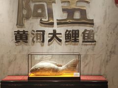 -阿五黄河大鲤鱼(纬三路店)