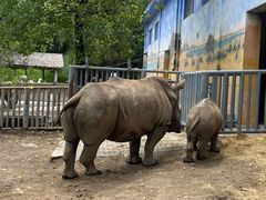 -西安秦岭野生动物园