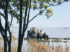 -上海吴淞炮台湾国家湿地公园