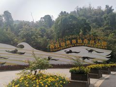 -西双版纳原始森林公园