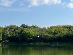 -盘龙城国家考古遗址公园