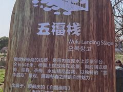 -上海海湾国家森林公园