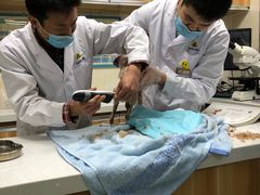 -康乐宝动物医院