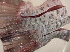 -正能量脆肉鲩火锅