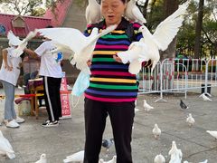 -世纪广场