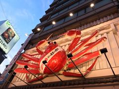 -蟹道乐(道顿堀本店)