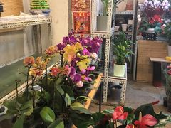 -宝鸡东道花鸟鱼虫市场(吉利花园商场店)