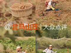 -大连北马山庄