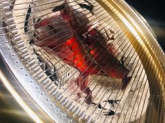 -味家烤肉烤鳗鱼牛排(西塔旗舰店)