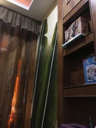 点击看大图 -蕾蕾美颜美容美体