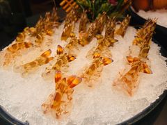 大花虾-官也街澳门火锅(新源里店)