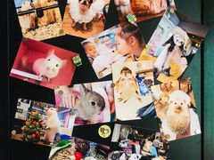-藦茜花园宠物主题亲子互动体验馆(国顺东路店)