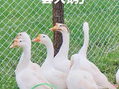 -栖露营camping·天幕烧烤·团建拓展·采摘营地