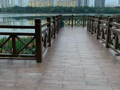 -南宁南湖公园