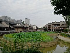 -龙潭水乡
