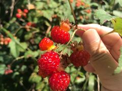 -白草畔自然风景区