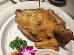 -唐猫庭院·千年陕菜(大唐不夜城店)