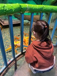 -酷嗒动物文化乐园(cutezoo西溪乐天城店)