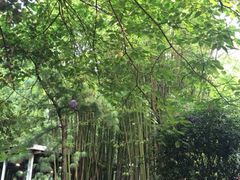 iphone_upload_pic-新竹里馆·花园餐厅(兴苑路店)