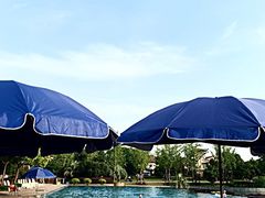 -浦鸿会游泳健身中心·Ambassy Club PD(金桥碧云国际社区店)