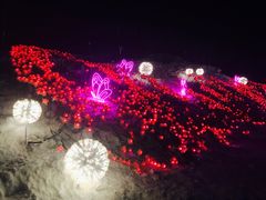 -丁香湖丁香小镇Citypark滑雪公园戏雪嘉年华