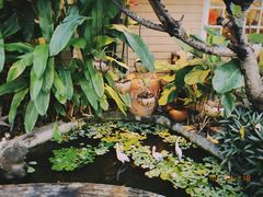 -芭提雅Amporn Seafood自助餐厅