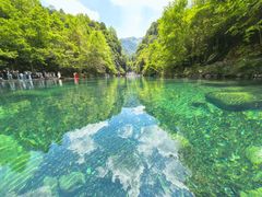 -石台牯牛降景区