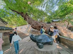 -青岛崂山太清宫