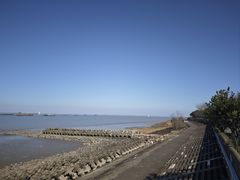 -上海滨江森林公园